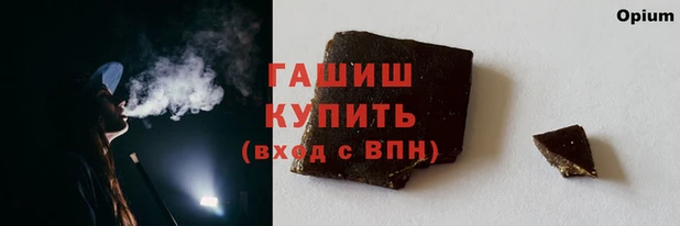 индика Новодвинск
