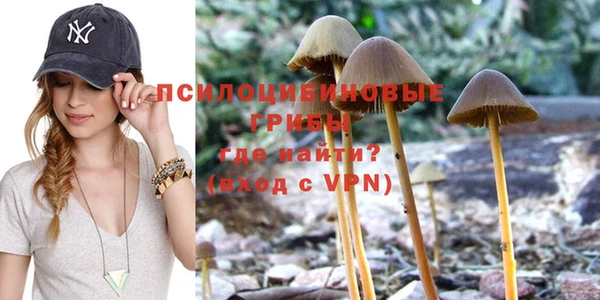 мескалин Алексин