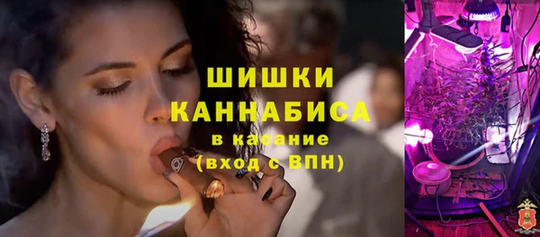 ECSTASY Новозыбков