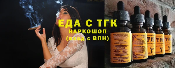 индика Новодвинск